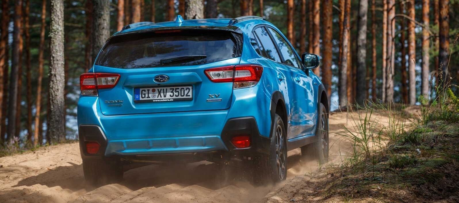 xv
