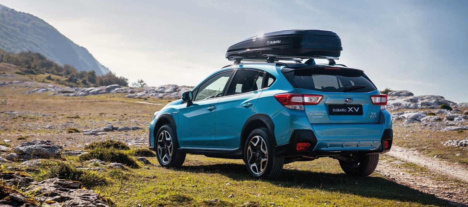 xv