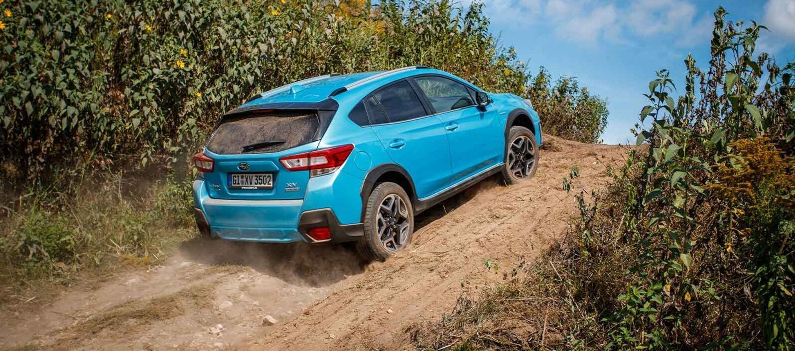 xv